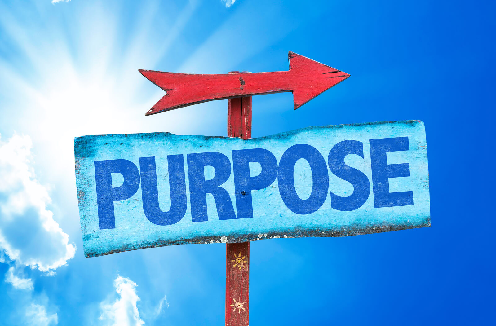 Clause of purpose