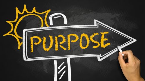 clauses of purpose
