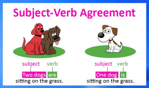 Nắm bắt sự hòa hợp giữa chủ ngữ và động từ trong câu tiếng Anh