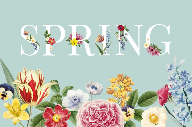 3 bước viết hay bài viết tiếng Anh miêu tả mùa xuân