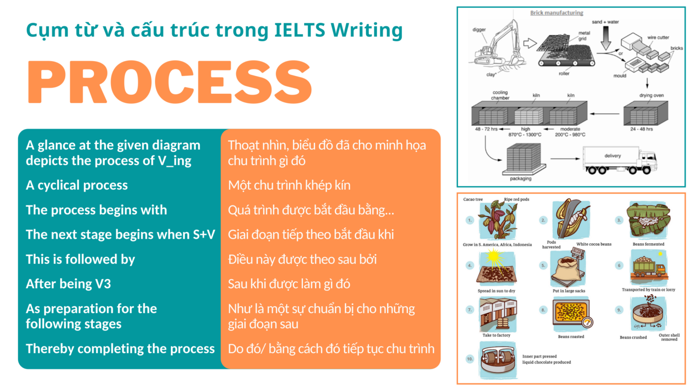 Cụm từ và cấu trúc sử dụng trong IELTS Writing Task 1