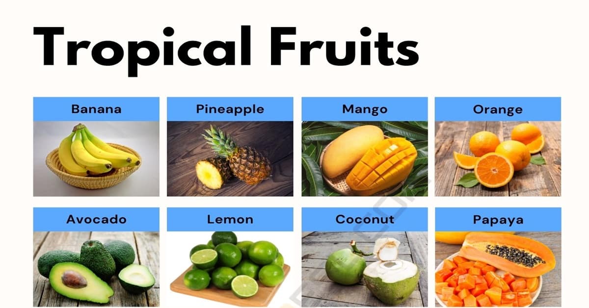 Tên 20 loại trái cây bằng tiếng Anh thuộc nhóm trái cây nhiệt đới