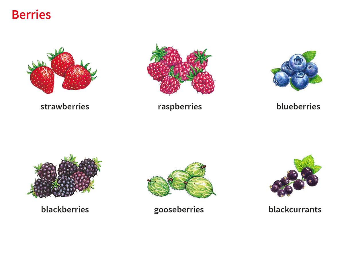 Từ vựng tiếng Anh của các loại trái cây khác