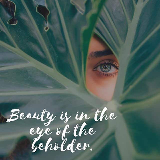 Ý nghĩa của câu nói “Beauty is in the eye of the beholder” và một ...